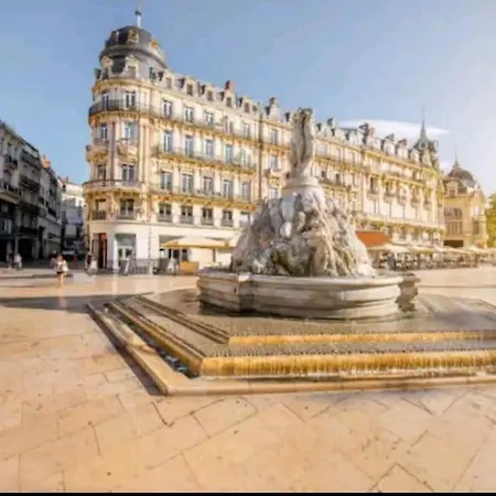 Apartment Le 109 : Calme, Terrasse, Garage Et Confort En Pleine Montpellier